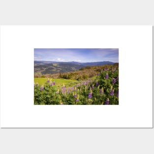 Lupine flowers and mountains Posters and Art